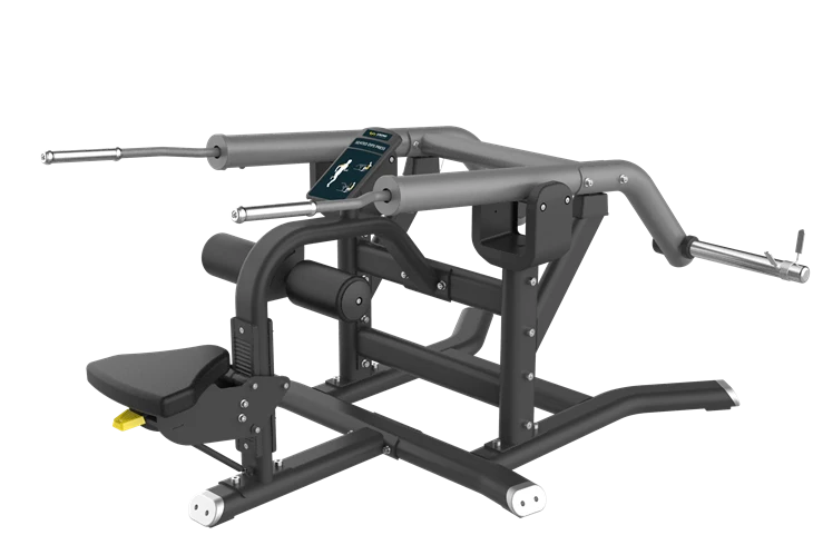 Seated Dip Gym Tshuab
